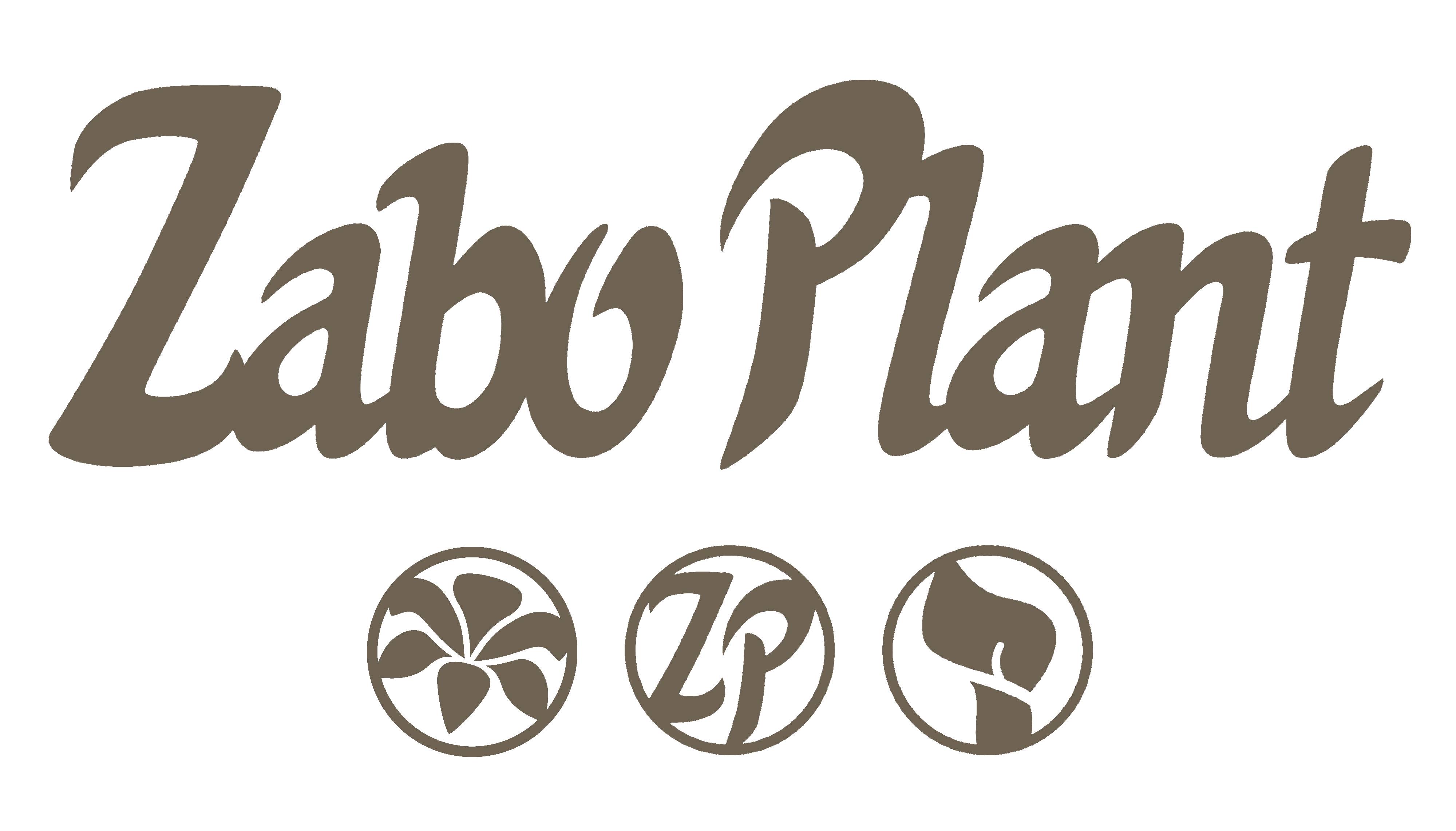Murano Zabo Plant