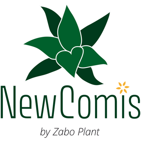 Discover NewComis logo